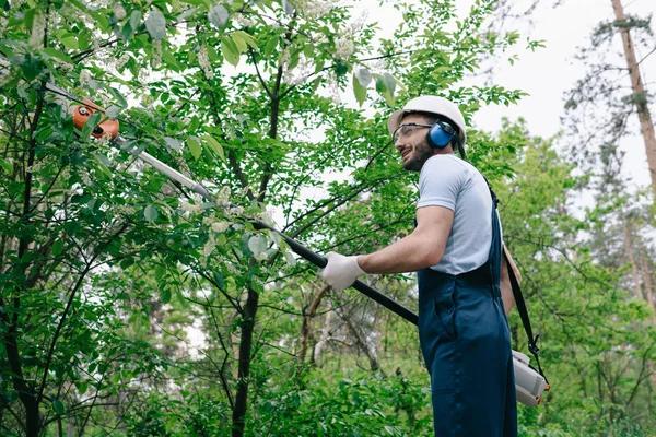 Expert Tree Care Enterprises for Safe and Reliable Tree Removal