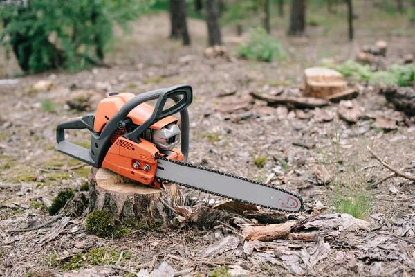 Efficient Tree Removal in Adrian, Michigan for Any Tree Size