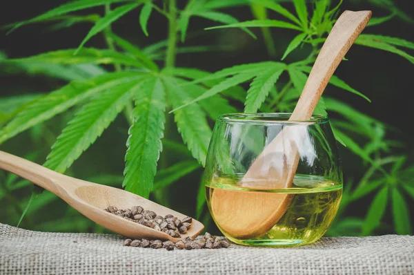 CBD Product Batches and Modern Compliance Standards