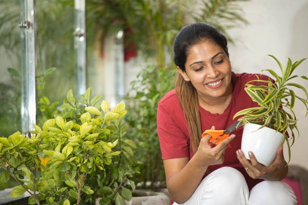 Designing Your Dream Garden with Tropical and Mediterranean Plants