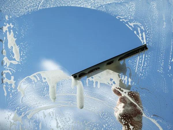 Window Cleaning Mesa Tips for Cleaner and Brighter Windows