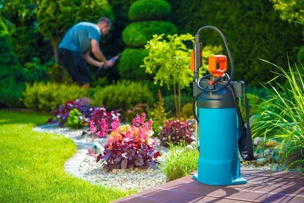 Effective Lawn Pest Control for a Healthy, Pest-Free Lawn
