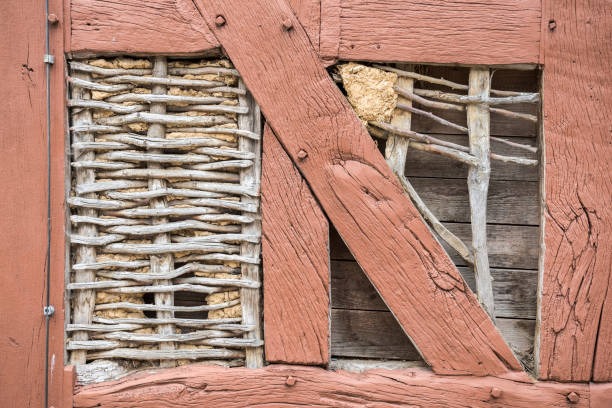 Reliable Indianapolis Crawl Space Services for a Healthier Home